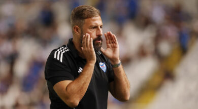 gomez-anorthosi