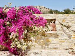 kalimera-b-b-garden-view
