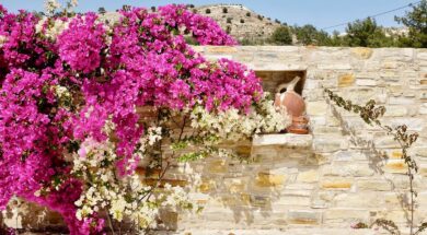 kalimera-b-b-garden-view