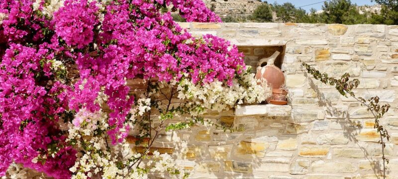 kalimera-b-b-garden-view