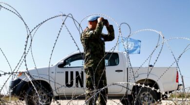 nerki-zwni-unficyp6-1