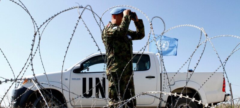 nerki-zwni-unficyp6-1
