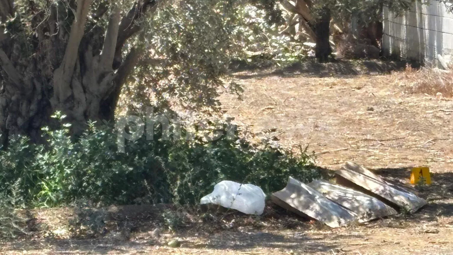 Νεκρός άνδρας σε πάροδο της Ελαιώνων στη Λευκωσία – Στο σημείο η Υπηρεσία Εγκληματολογικών Ερευνών