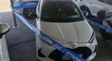 troxaio-larnakas-1152×1536