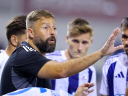 xoakin-gomez-gomes-proponhths-anorthosi