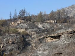 πυρκαγιά ορεινή Λεμεσός (3)