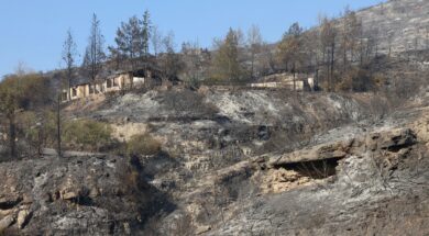 πυρκαγιά ορεινή Λεμεσός (3)