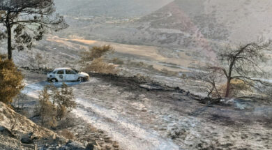 πυρκαγια λεμεσος (38)_0