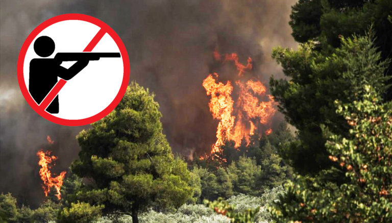 Απαγόρευση κυνηγίου σε πυρόπληκτες περιοχές της ορεινής Λεμεσού ανακοινώνει η Υπηρεσία Θήρας