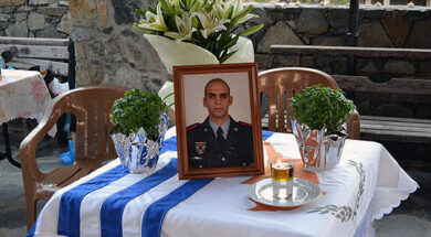 20130713_vasiliskrokos