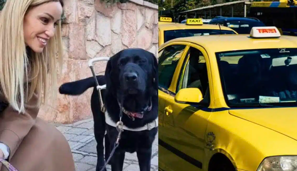 Ταξιτζής αρνήθηκε να μεταφέρει την Καρολίνα Πελενδρίτου λόγω του σκύλου-οδηγού της (ΒΙΝΤΕ) Ταξιτζής αρνήθηκε να μεταφέρει την Καρολίνα Πελενδρίτου λόγω του σκύλου-οδηγού της (ΒΙΝΤΕ)