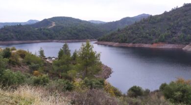 264279539_4773268562753450_7716147588299596030_n