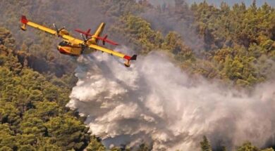 340f783d-ca34-4b28-8865-990cf13a6b38_pyrkagia_enaeria_mesa