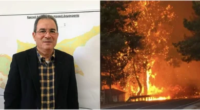 34aa9e61_83b8_4dec_bbf6_bd5ecb9c4763-thumb