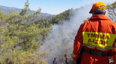 39953620_2225431557734197_3983505720917098496_n