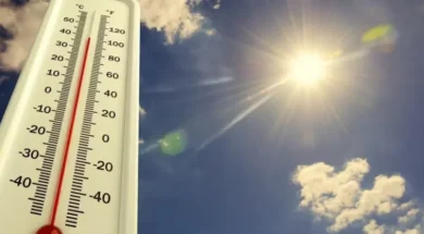 41603fed2880c1a764393735b06cb947-2 (1)