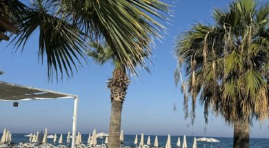 438083161_955241139939859_5216836690766233813_n