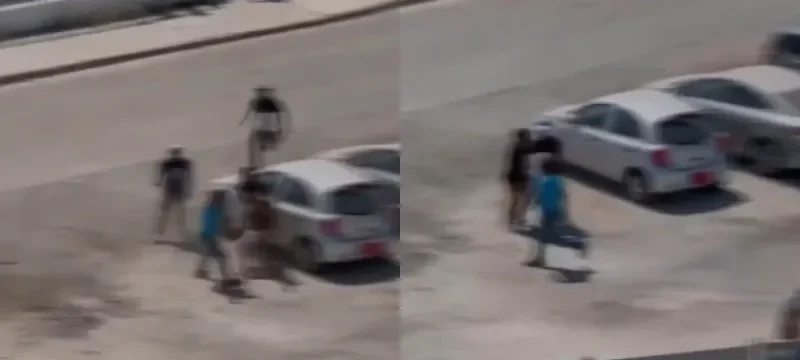 550373966_24975283678-thumb (1)