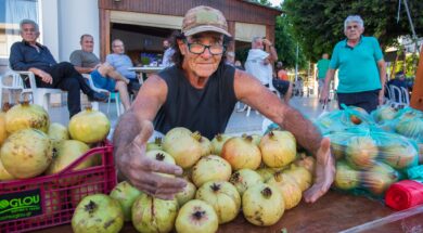 554272273_1392967679496697_8022164930895021248_n