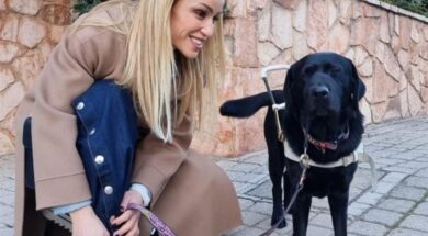 875_78546e56-f33f-4f0e-8304-47663dd852c4