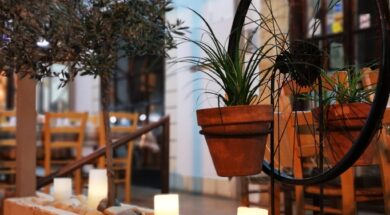 90428832_648937099264236_6960813974338142208_n