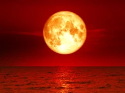 Bloob-Moon