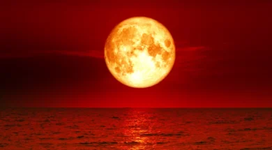 Bloob-Moon