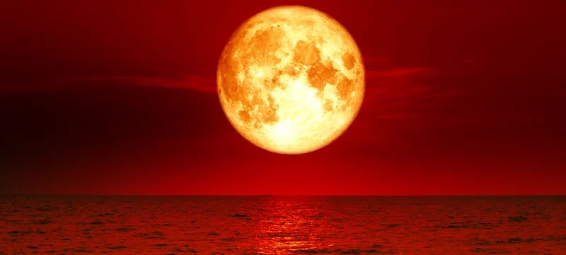 Bloob-Moon
