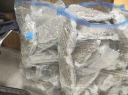 Drugs_1-e1758866699832