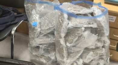 Drugs_1-e1758866699832