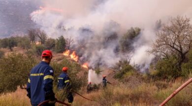 ΠΥΡΚΑΓΙΑ ΣΤΗ ΒΟΙΩΤΙΑ / ΜΟΝΗ ΟΣΙΟΥ ΛΟΥΚΑ, ΚΥΡΙΑΚΙ ΣΤΕΙΡΙ ΠΛΑΓΙΕΣ ΕΛΙΚΩΝΑ (EUROKINISSI)