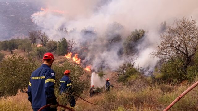 ΠΥΡΚΑΓΙΑ ΣΤΗ ΒΟΙΩΤΙΑ / ΜΟΝΗ ΟΣΙΟΥ ΛΟΥΚΑ, ΚΥΡΙΑΚΙ ΣΤΕΙΡΙ ΠΛΑΓΙΕΣ ΕΛΙΚΩΝΑ (EUROKINISSI)