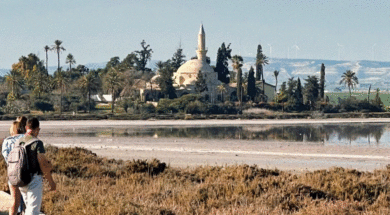 b85e5839-686e-486a-9b17-334d2331b4f9