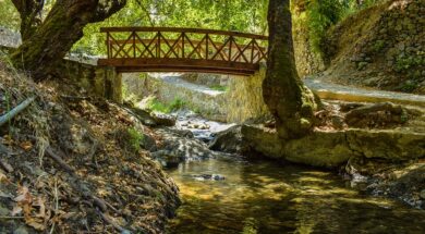 bridge-3647513_960_720