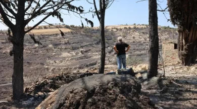 doc20250725880538901omodos17-thumb