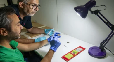 dsc8008-large_thumbnail