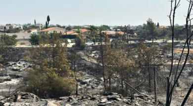 fotiaf-large_thumbnail