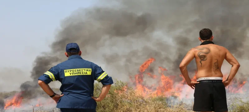 foto_1-large_thumbnail