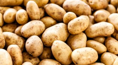 iC7HBvohbJqExqvbKcV3pP