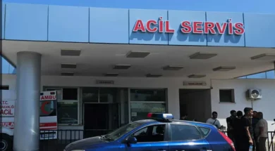 image_30_e1756805616864-thumb