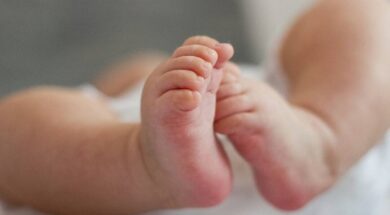 nekro-vrefos-australia