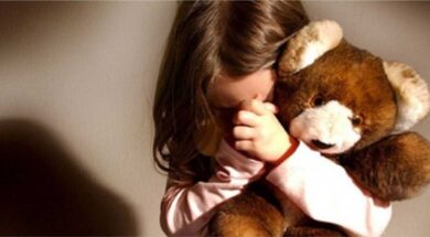 p1e9g45g6sgcp1vkq8uo1jehark4