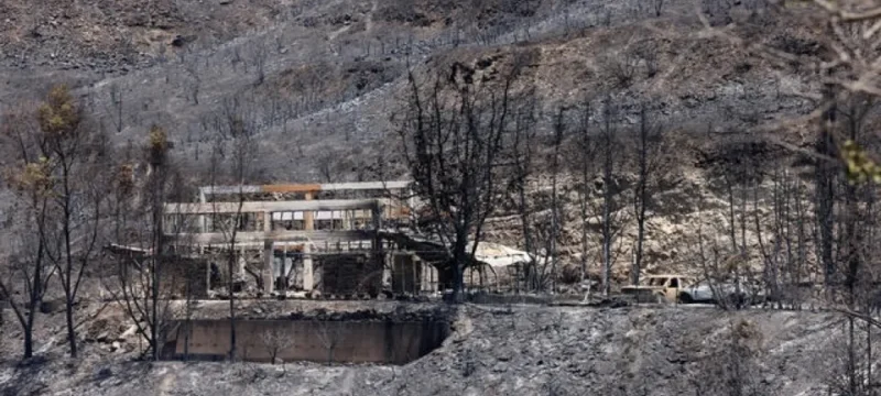 pyrkagia2-large_thumbnail