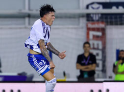 sosa-anorthosi