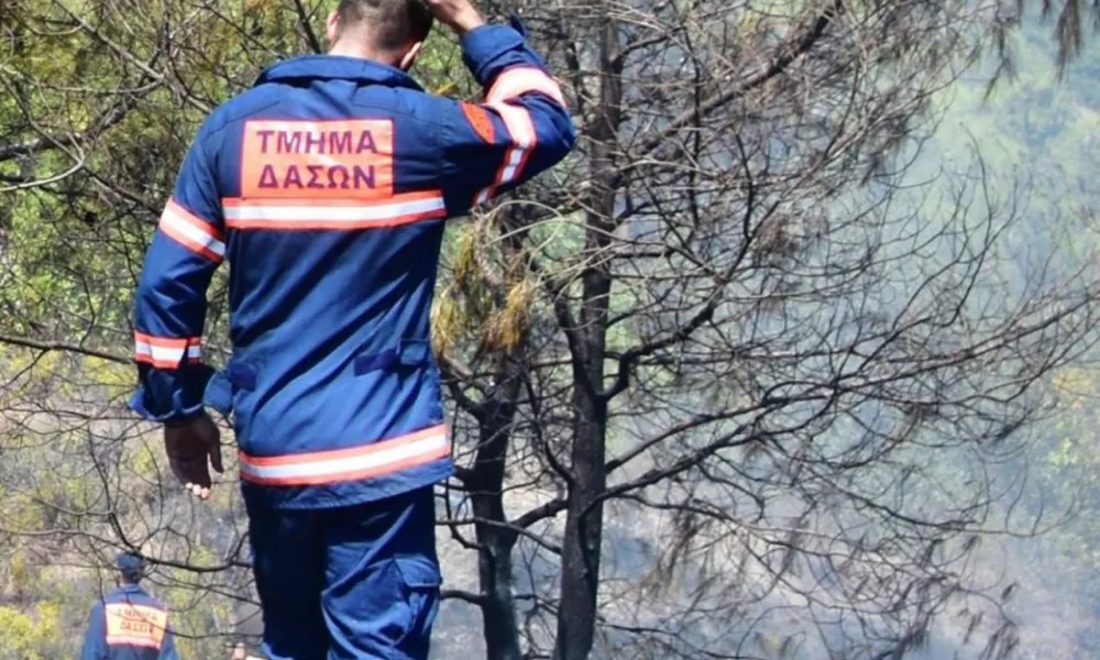 Σε συναγερμό του Τμήμα Δασών λόγω πυρκαγιάς στον Μονιάτη – Γλύτωσαν τα χειρότερα