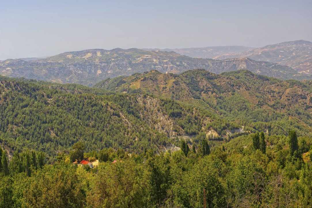 Eμπρηστές πήγαν να βάλουν φωτιά στο Τρόοδος, συναγερμός στην Πυροσβεστική Eμπρηστές πήγαν να βάλουν φωτιά στο Τρόοδος, συναγερμός στην Πυροσβεστική