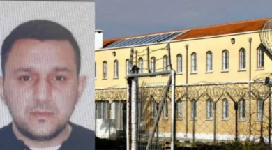 tsintan_768x463-large_thumbnail (1)