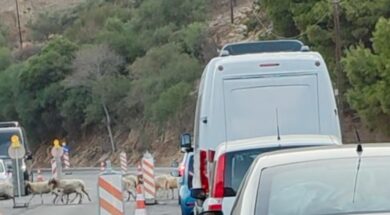 viber_image_2025-08-12_09-23-52