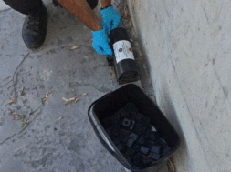 Καταπολέμηση Τρωκτικών