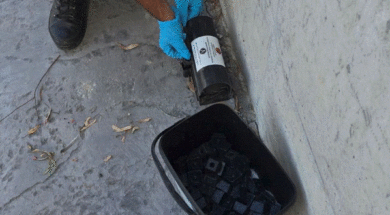 Καταπολέμηση Τρωκτικών